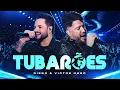 Capa da música Tubarões, de Diego e Victor Hugo