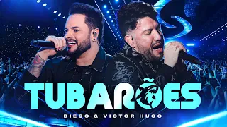 Capa da música Tubarões, de Diego e Victor Hugo