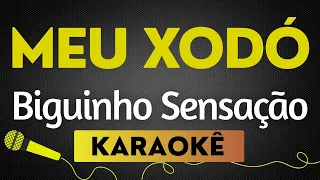 Capa da música Biguinho Sensação, de Karaokê Meu Xodó