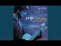 Capa da música Ela Une Todas As Coisas, de Jorge Vercillo