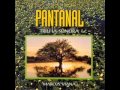 Capa da música Novela Pantanal, de Espírito da Terra