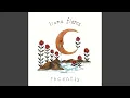 Capa da música rises the moon, de Liana Flores