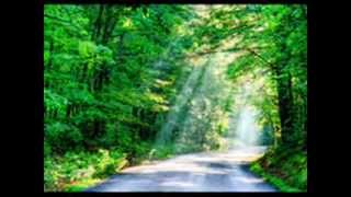 Van Morrison _ Bright Side Of The Road. — Electricchris1
