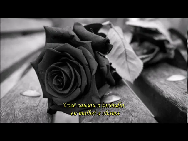 Lover Why — Century