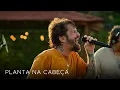 Capa da música Planta Na Cabeça, de Saulo Fernandes