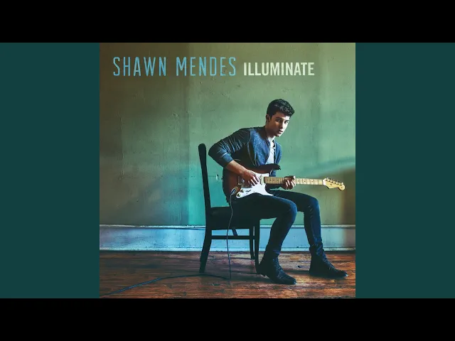 Three Empty Words — Shawn Mendes