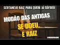 Capa da música Pra Quem Já Sofreu....... Modão de Violeiro, de Modão de Violeiro | Sertanejo Raiz