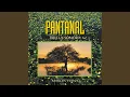 Capa da música Pantanal, de Marcus Viana