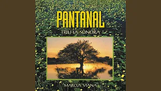 Capa da música Pantanal, de Marcus Viana