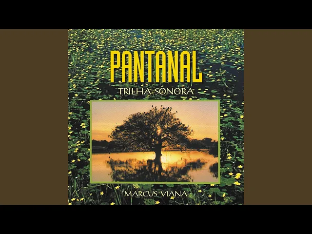 Pantanal — Marcus Viana