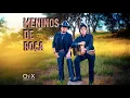 Capa da música Meninos De Roça, de Chitãozinho & Xororó‬