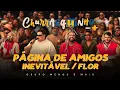 Capa da música Página de Amigos / Inevitável / Flor, de Grupo Menos é Mais