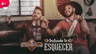Capa da música Tentando Te Esquecer, de João Lucas & Walter Filho