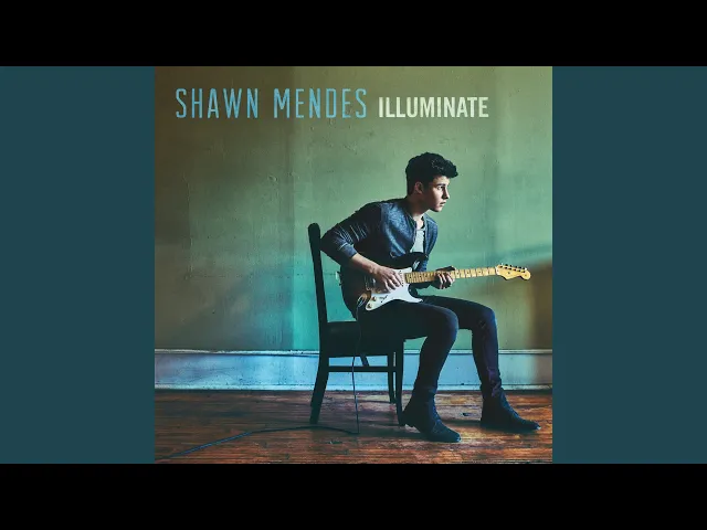 There's Nothing Holdin' Me Back — Shawn Mendes