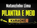 Capa da música Eric Land, de Pilantra E Meio