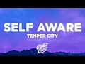 Capa da música Self Aware, de Temper City