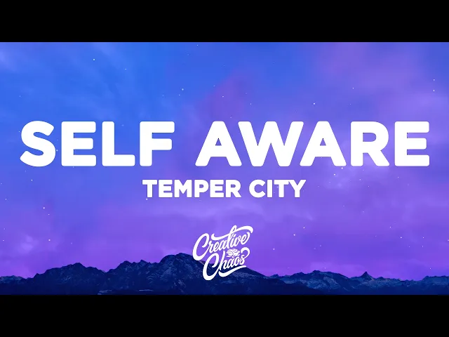 Self Aware — Temper City