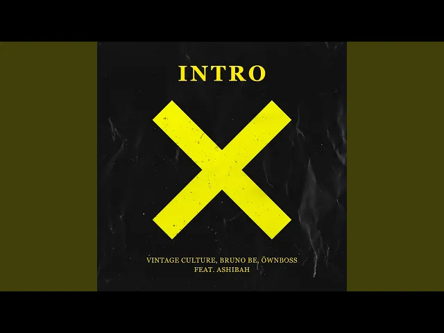 Intro — Vintage Culture