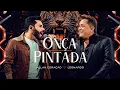 Capa da música Onça Pintada, de Allan Coração, Leonardo