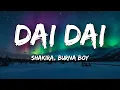 Capa da música Dai Dai, de Shakira, Burna Boy