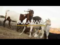 Capa da música Amazwe, de Kabza De Small & Mthunzi