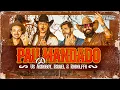 Capa da música Pau Mandado, de Us Agroboy, Israel & Rodolffo - Quer Modão? Toma!