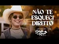 Capa da música Não Te Esqueci Direito, de Luana Magalhães