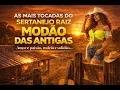 Capa da música Amor e paixão, rodeio e solidão!, de Modão de Violeiro | Sertanejo Raiz
